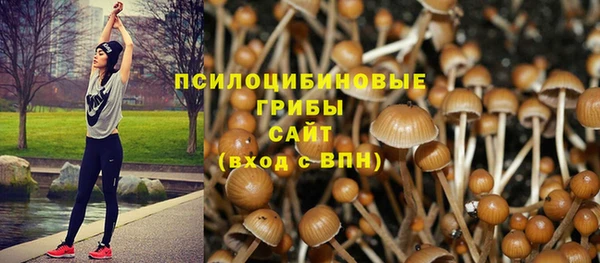 герыч Михайловка