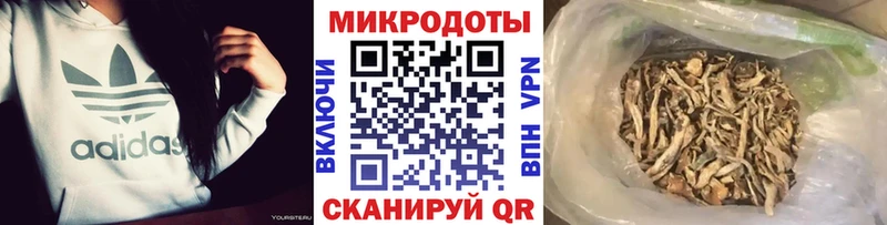 Псилоцибиновые грибы MAGIC MUSHROOMS  сколько стоит  Заволжск 