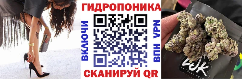 Бошки Шишки OG Kush Заволжск